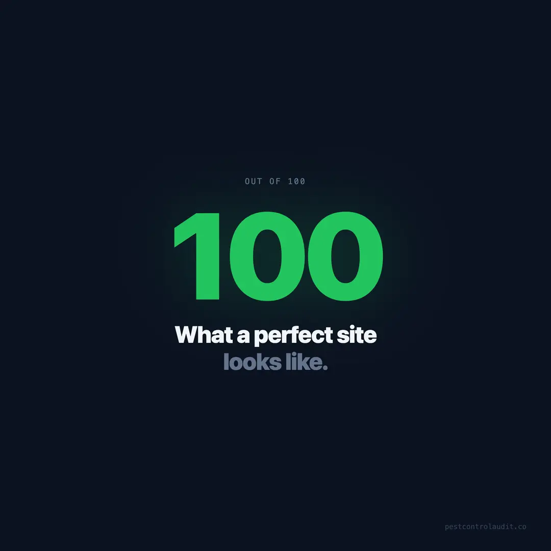 What a 100/100 Pest Control Website Looks Like